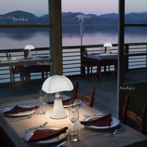 Martinelli Luce MiniPipistrello Cordless